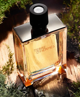 Terre d’Hermes Hermès 100ML EDT