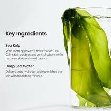 Biodance Refreshing Sea Kelp Real Deep Sheet Mask – Hydrating & Soothing Korean Skincare Mask